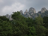 IMG_0790