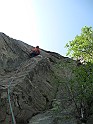 IMG_7890