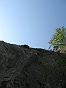 IMG_7891