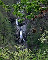IMG_7902