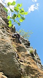 IMG_2380
