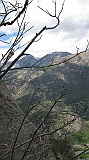IMG_2391