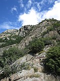 IMG_7721