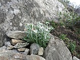 IMG_7734