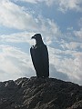 IMG_1481