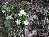 IMG_8335