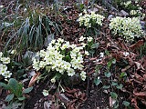 IMG_8336