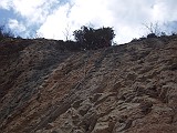 DSCN8274