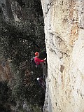 DSCN8281