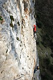 IMG_2621