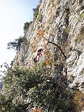 IMG_2065