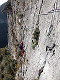 IMG_2081