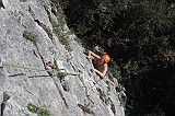 IMG_0523