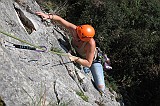IMG_0528