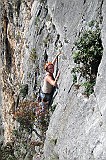 IMG_0535