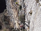 DSCN8190