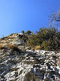 IMG_2318