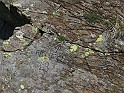 IMG_8086
