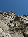 IMG_8088