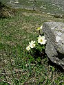 IMG_8113