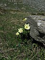 IMG_8114