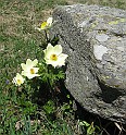 IMG_8115
