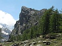 IMG_8116