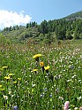 IMG_8125
