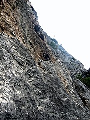 IMG_1772