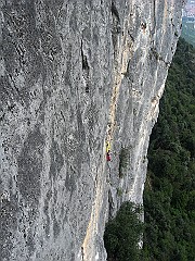 IMG_1773