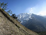 IMG_8406