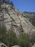 IMG_8452