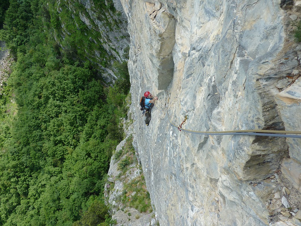P1060234.JPG
