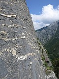 IMG_0592