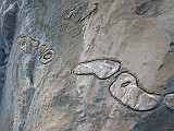 IMG_0600
