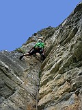 IMG_0604