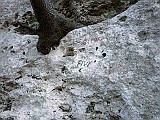 IMG_6469
