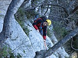 IMG_6471