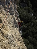 IMG_6479