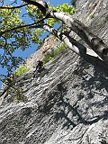 IMG_9883_small