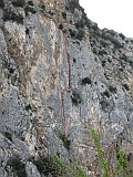 IMG_9906_small