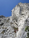 IMG_6927