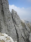IMG_6934