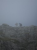 IMG_6944