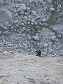 IMG_1711