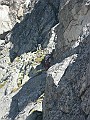 IMG_1732