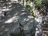 IMG_0519