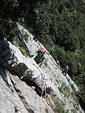 IMG_0529