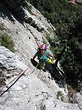IMG_0530