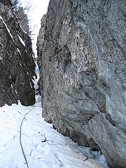 IMG_1103